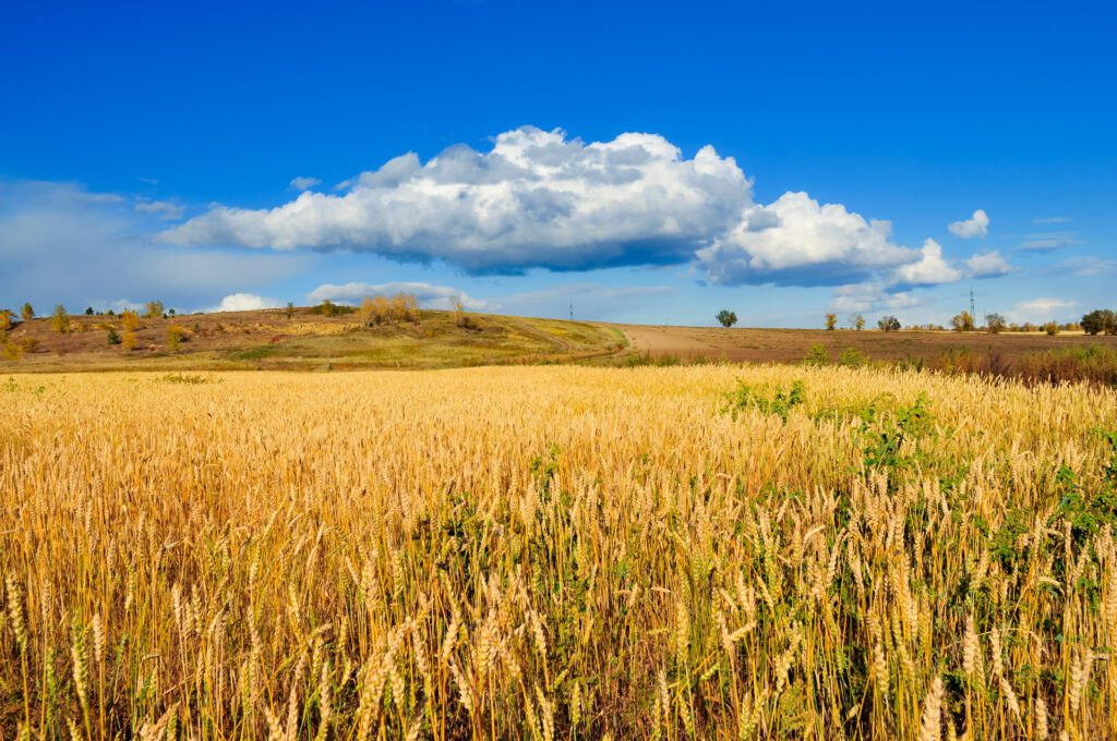 Farming for Future